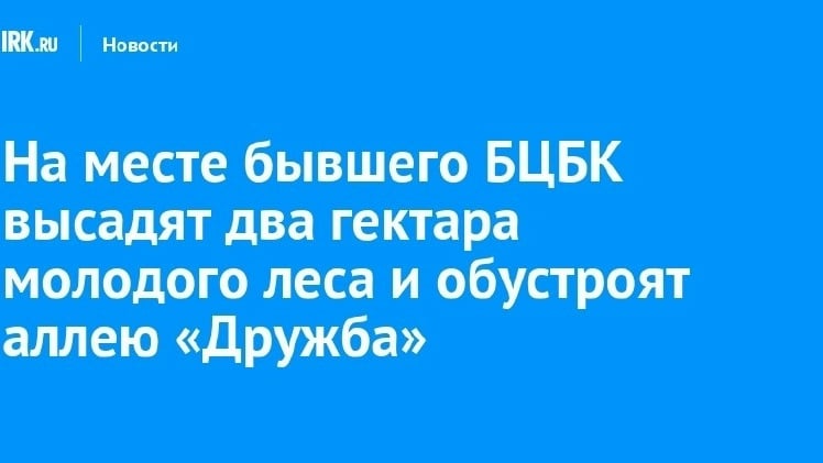 В Байкальске высадят около 4 тыс. хвойных и устроят аллею «Дружба»
