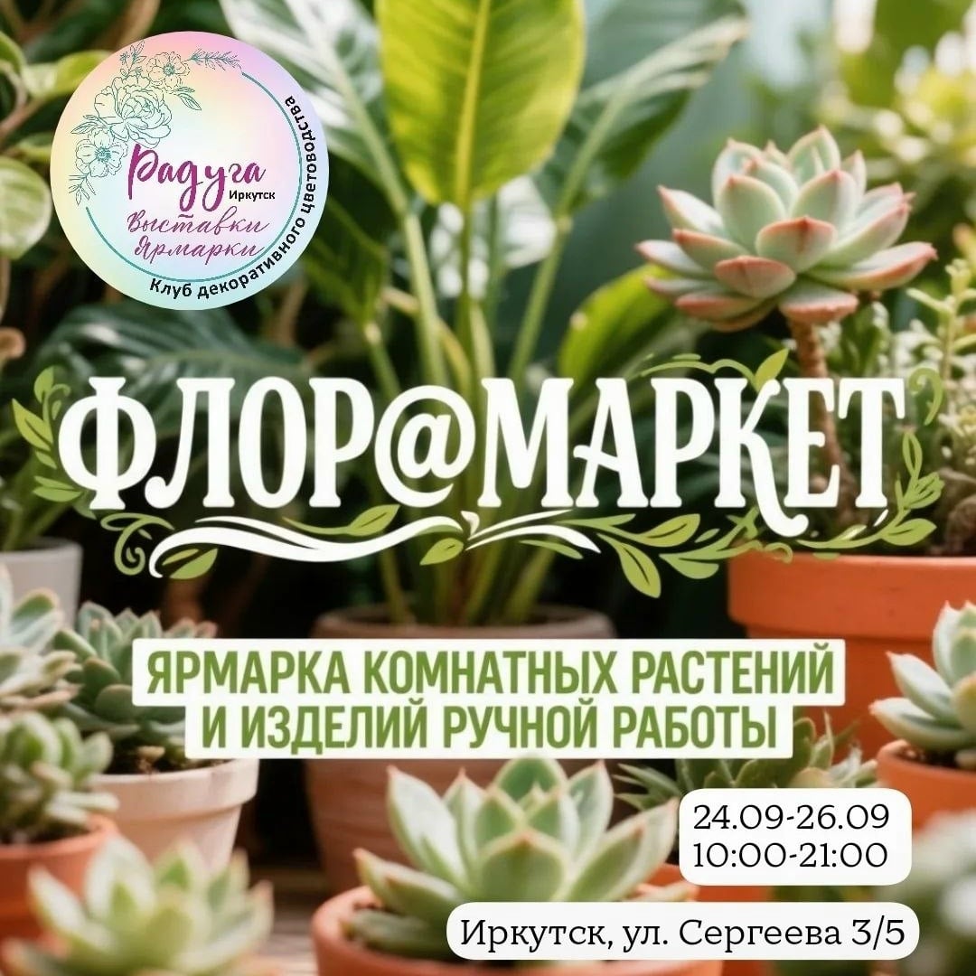 Мастер-класс «Уход за композициями из суккулентов»