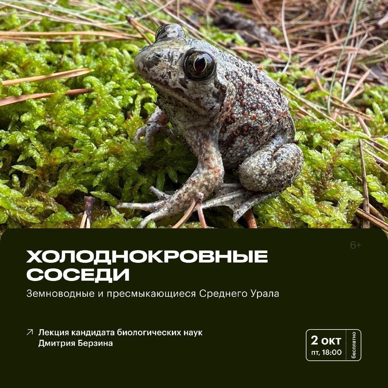 Лекция «Холоднокровные соседи»