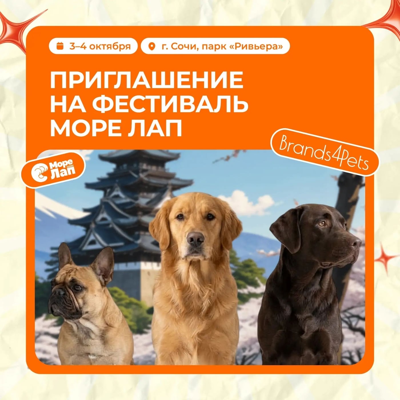 Приглашаем вас на фестиваль «Море лап»!