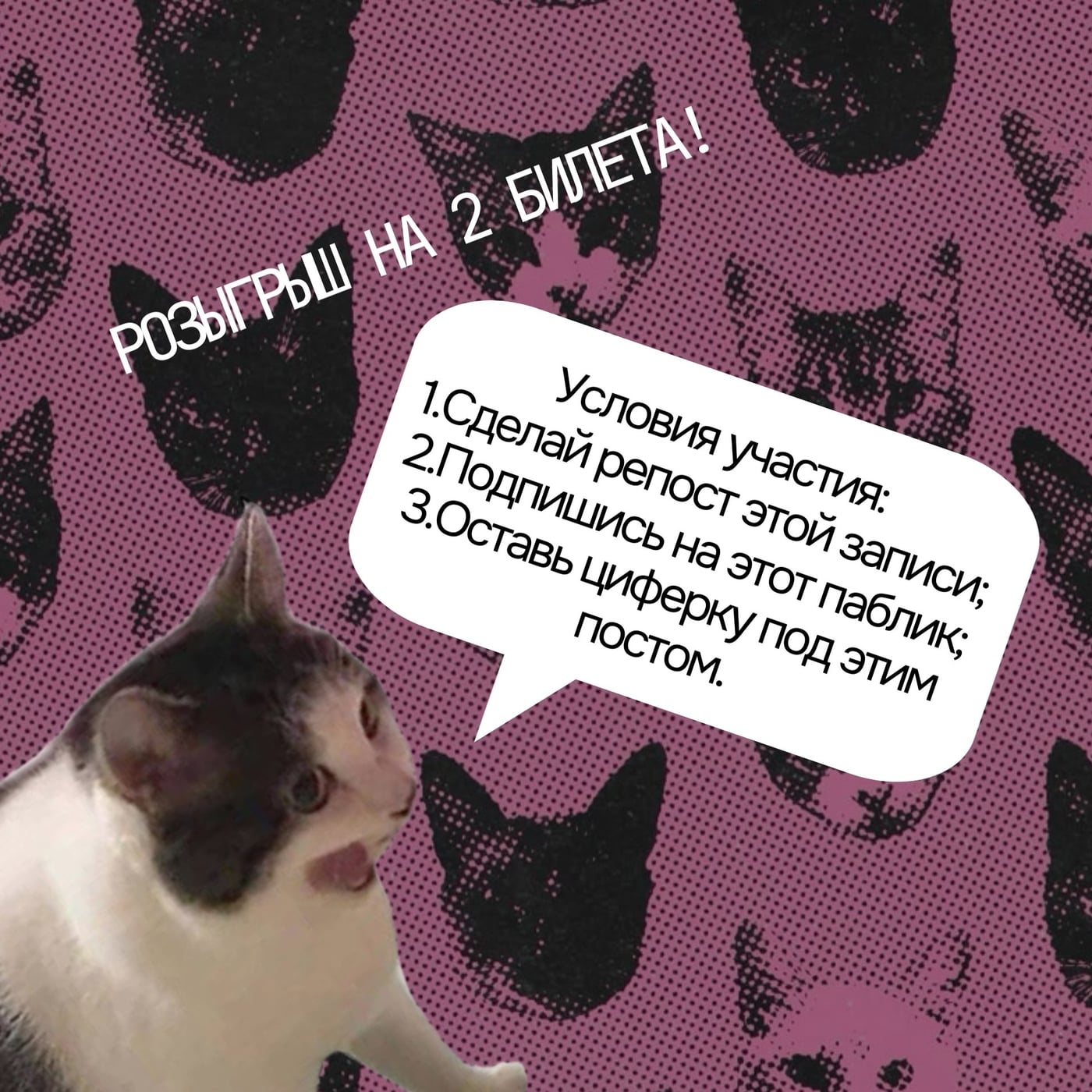 ВЫБОР ДНЯ | Вологда | ВОСКРЕСЕНЬЕ 27.09