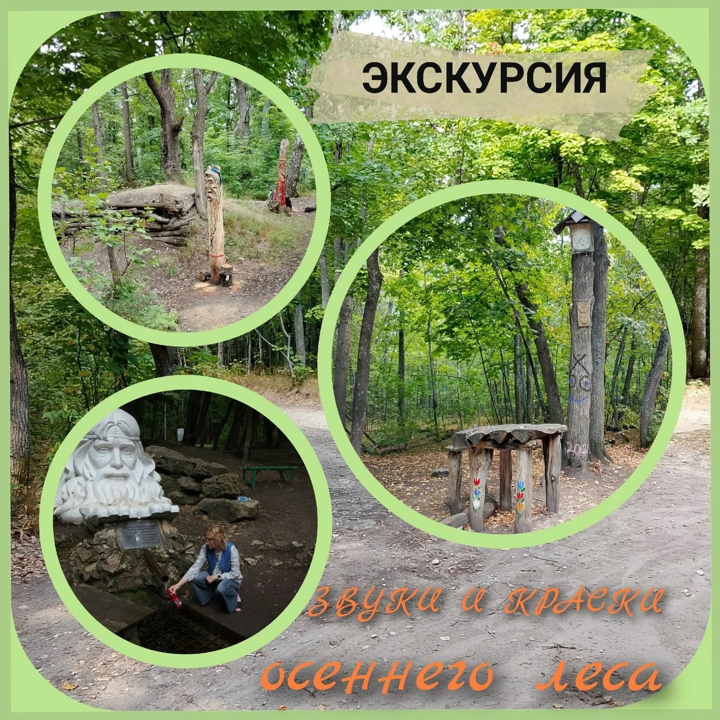 Экскурсия-поход «Звуки и краски осеннего леса»