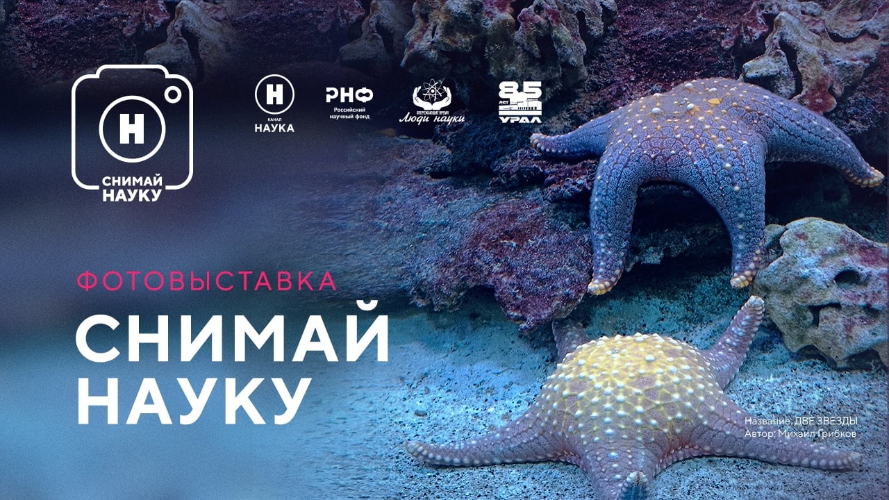 Выставка «Снимай науку!»