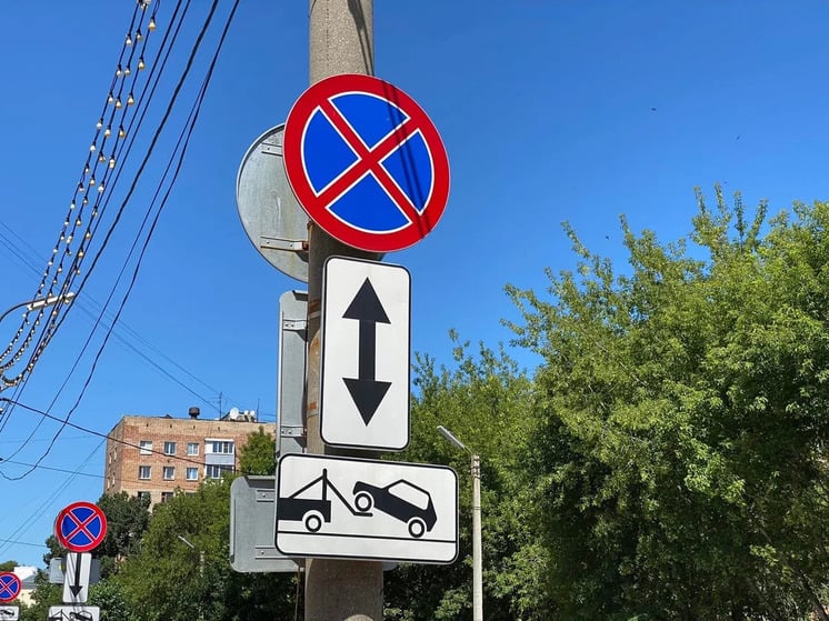 В Рязани из-за "Кросса нации" ограничат парковку и движение транспорта