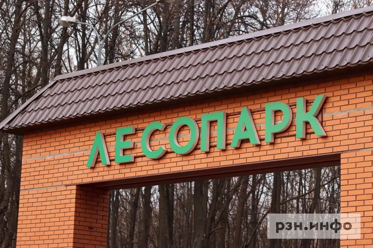 Рязанцев пригласили на "Марафон единства" в Лесопарке