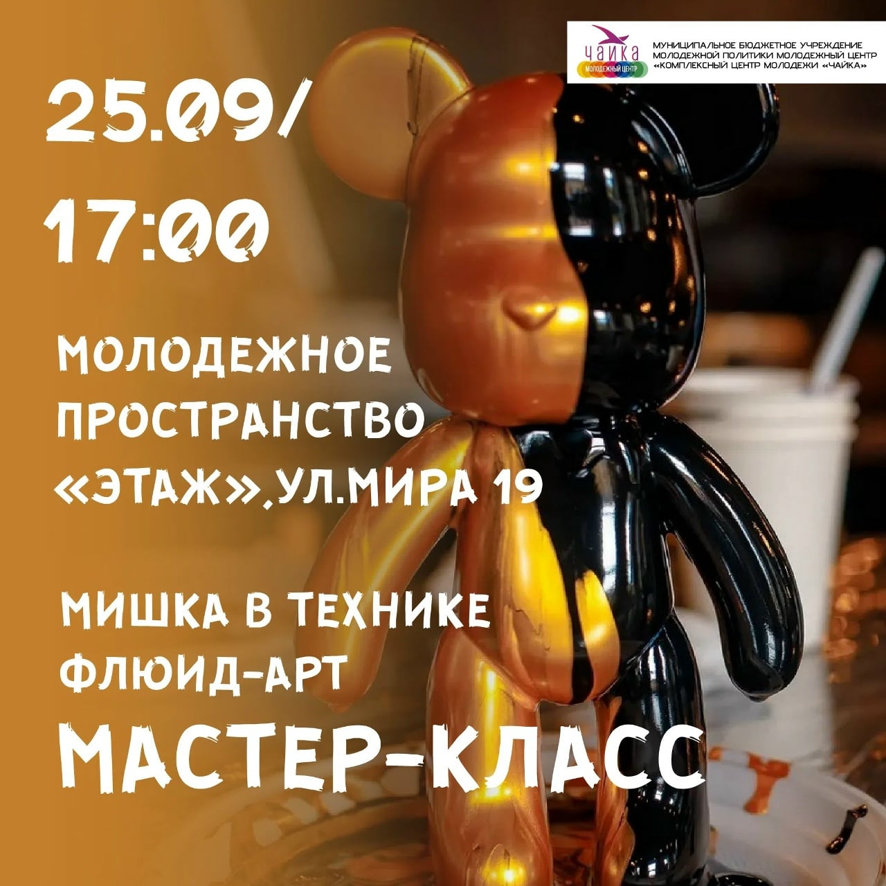 Комплексный Центр молодёжи "Чайка"