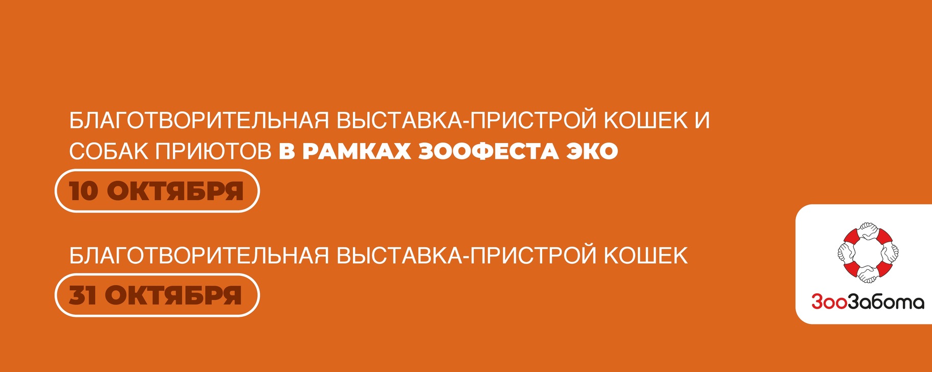 Благотворительный проект "Дорога Домой"
