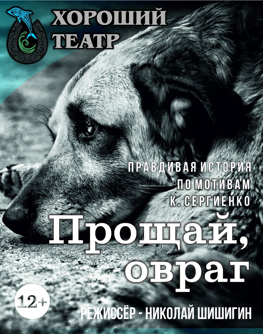 Прощай, овраг