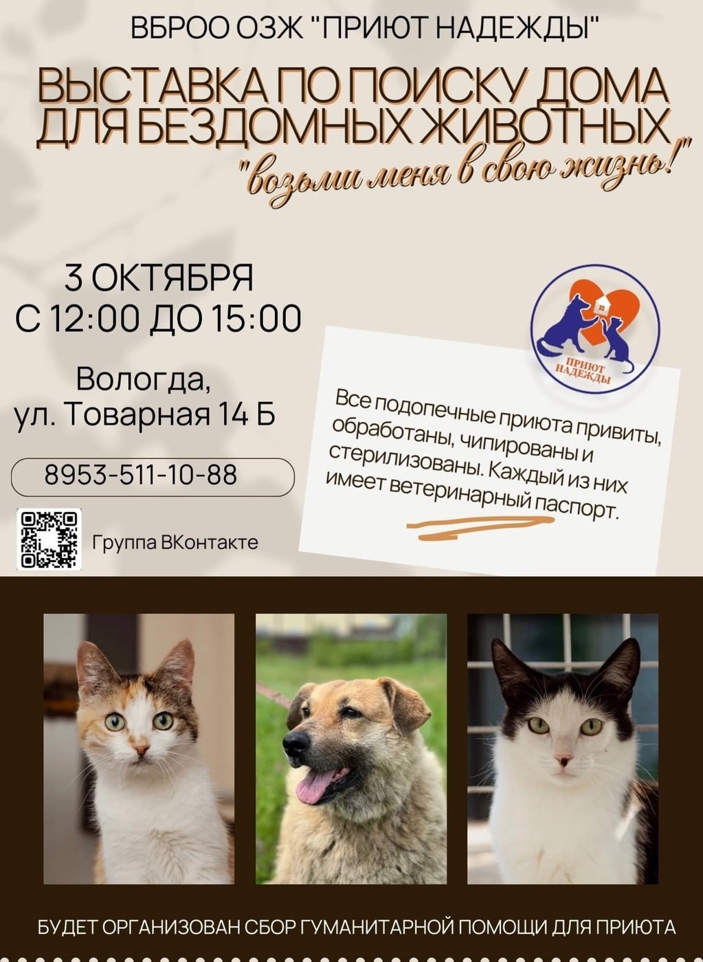 Выставка бездомных животных «Возьми меня в свою жизнь»