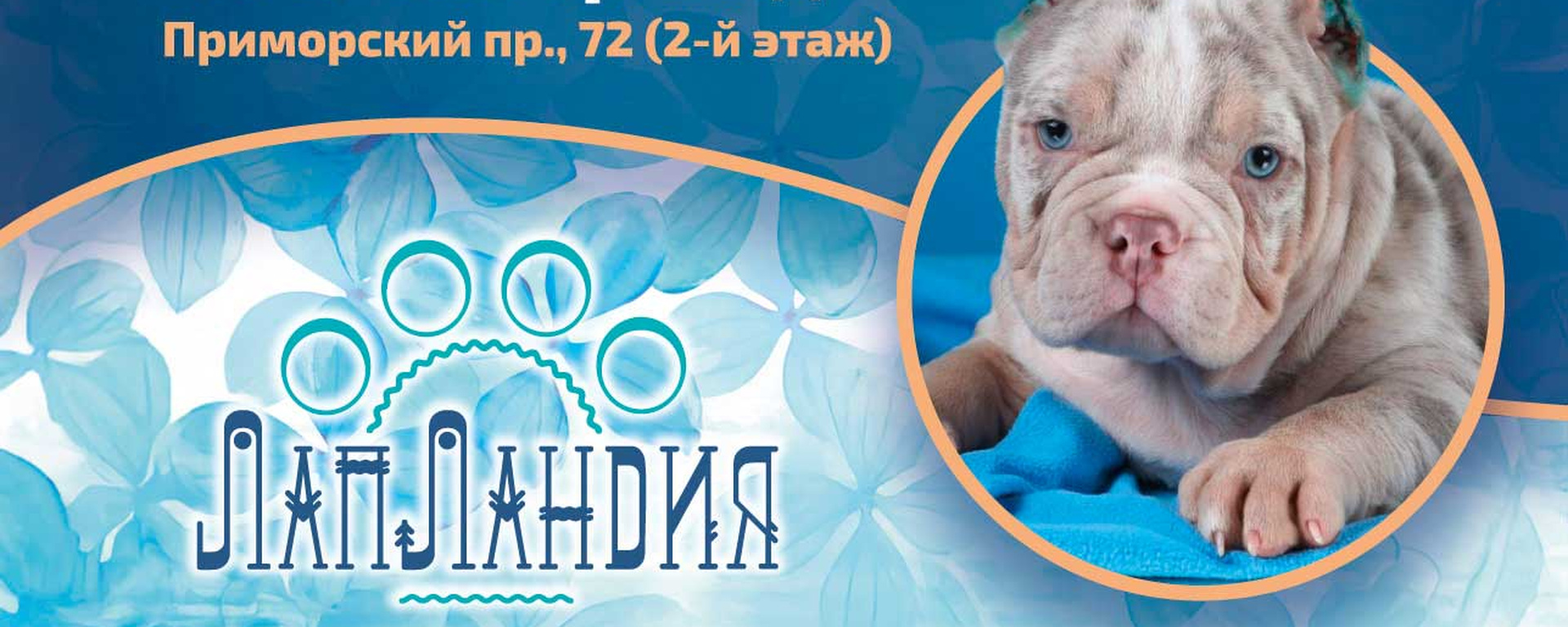 Клуб ICU ЛапЛандия: ФЕСТИВАЛИ И ВЫСТАВКИ
