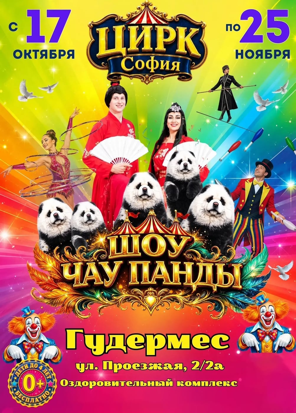 Цирк-шапито «София». Шоу чау панды, Гудермес