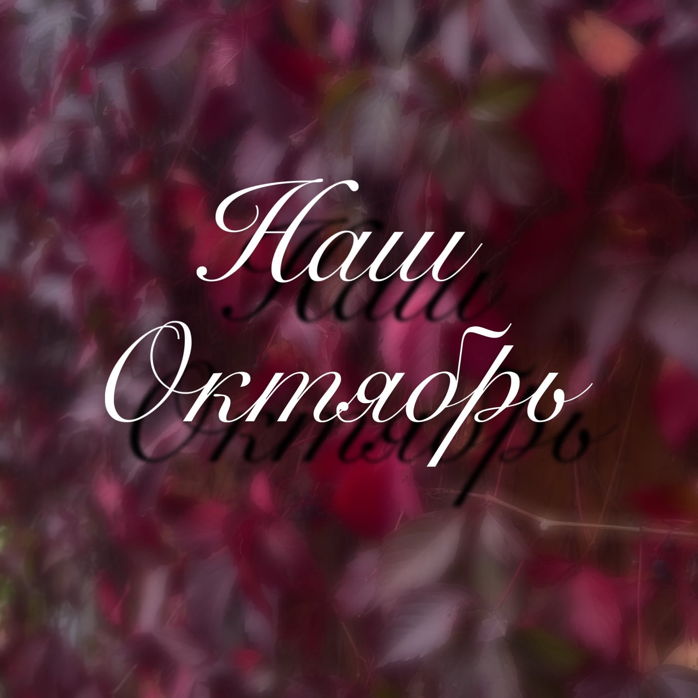 Планы на октябрь в лазертаг-клубе «Владимирская Застава»