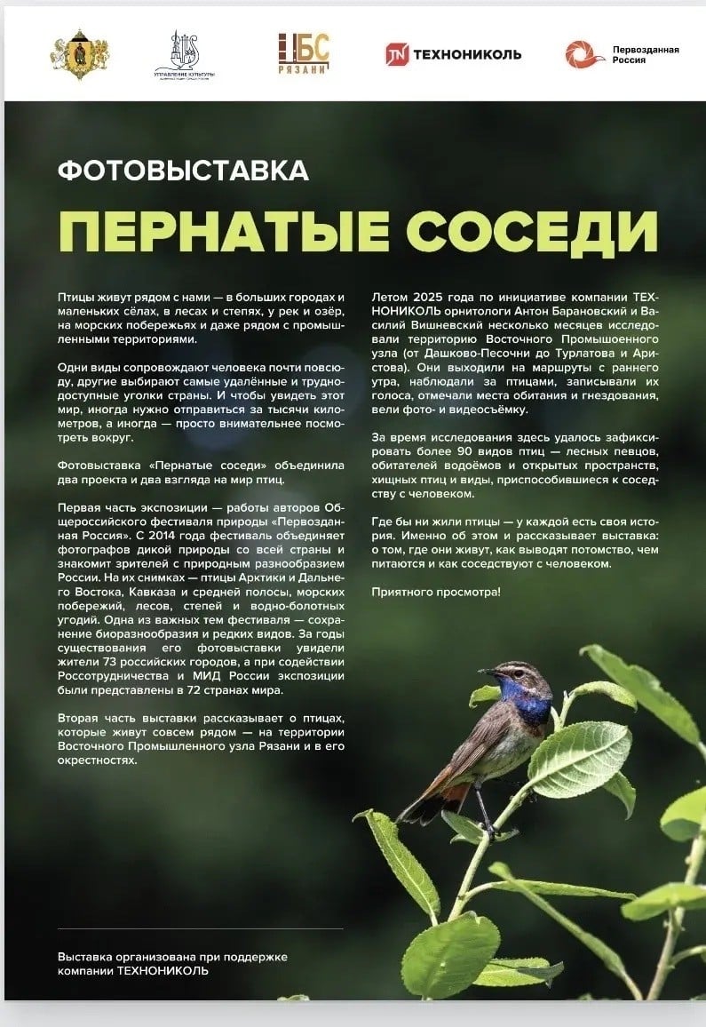 В библиотеке им. С.А. Есенина откроется фотовыставка «Пернатые соседи»