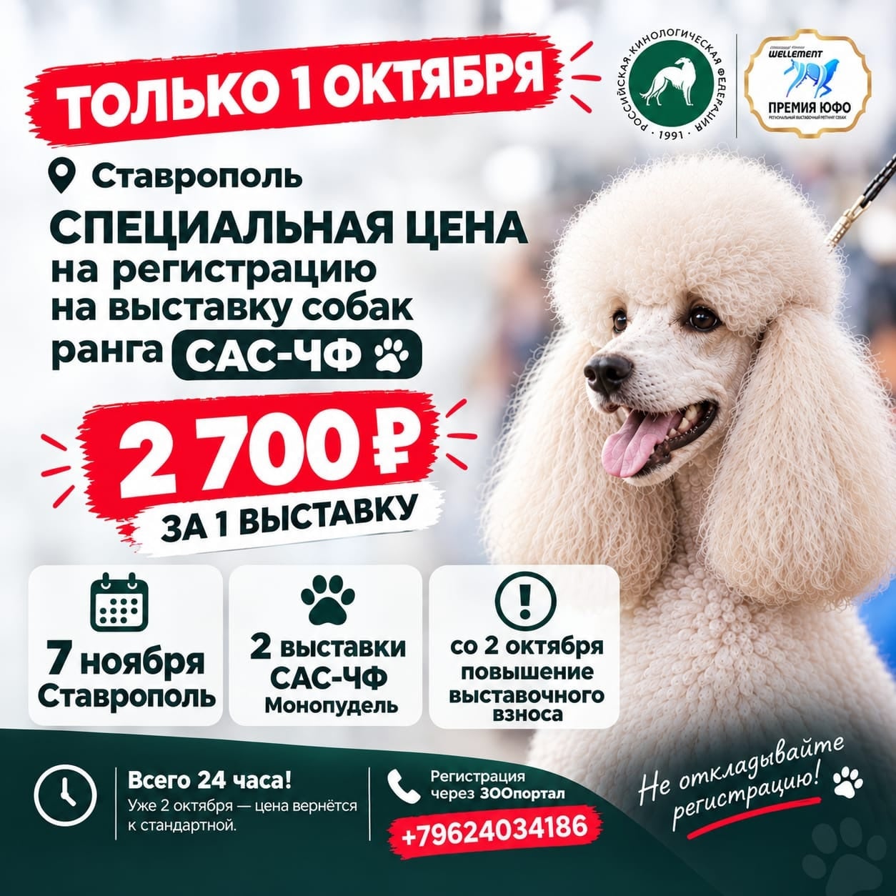 Приглашаем 7 ноября в Ставрополь на 2 выставки САС ( премия ЮФО)