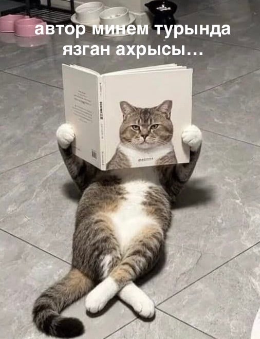 9–11 октябрьдә «Әдәби фест» узачак!