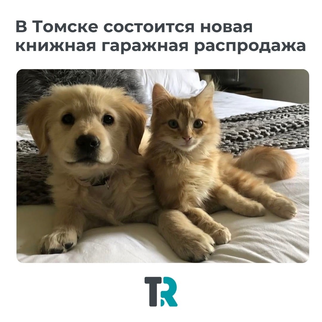 Книги — в помощь животным: в Томске снова пройдет книжная «гаражка»