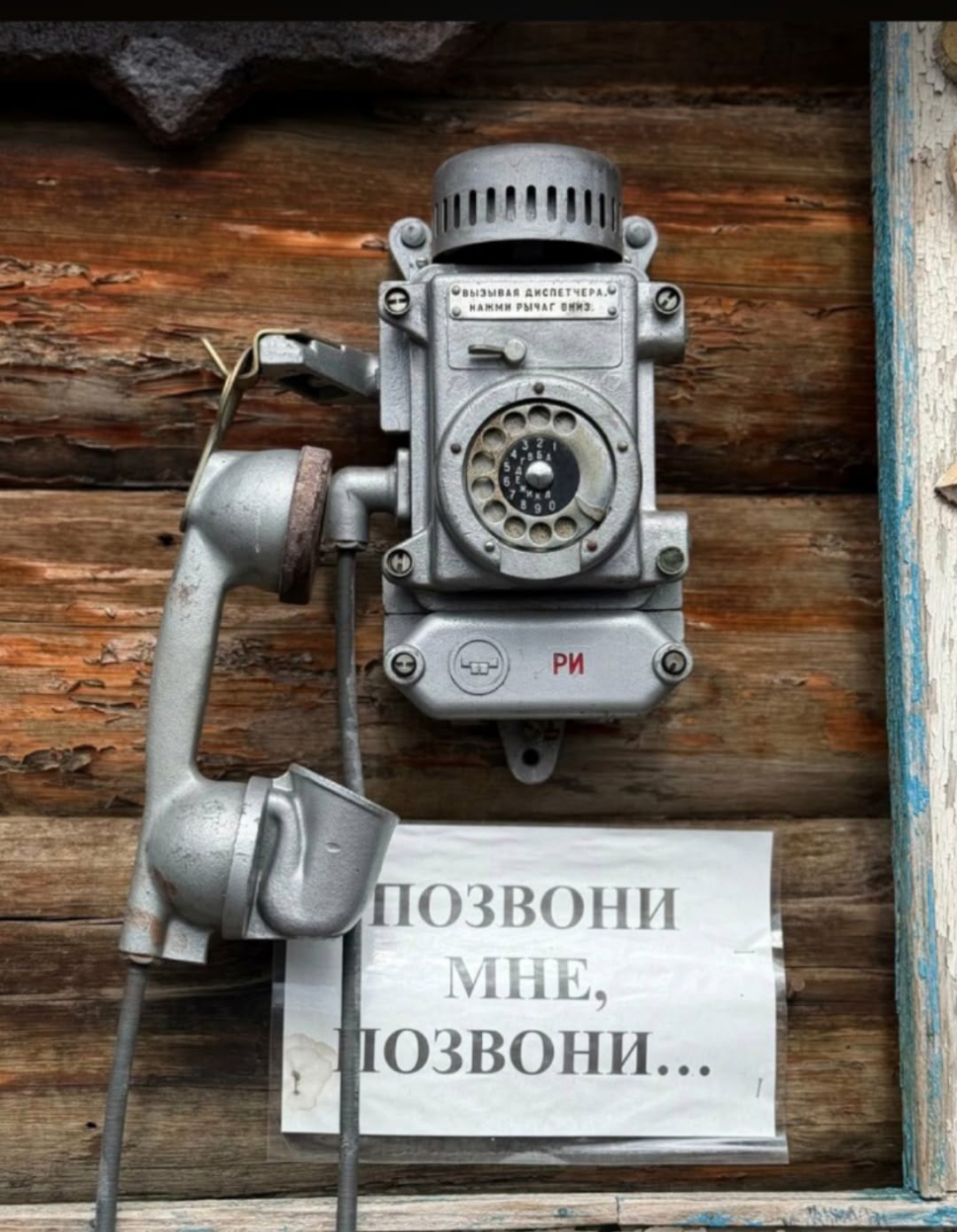 Туса Opposition Inside в музей