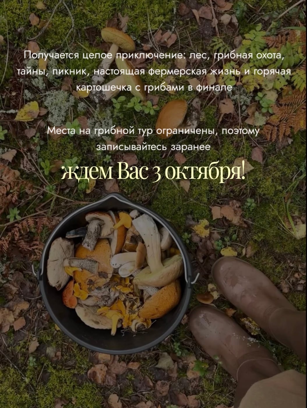 Грибная охота - 3 октября!