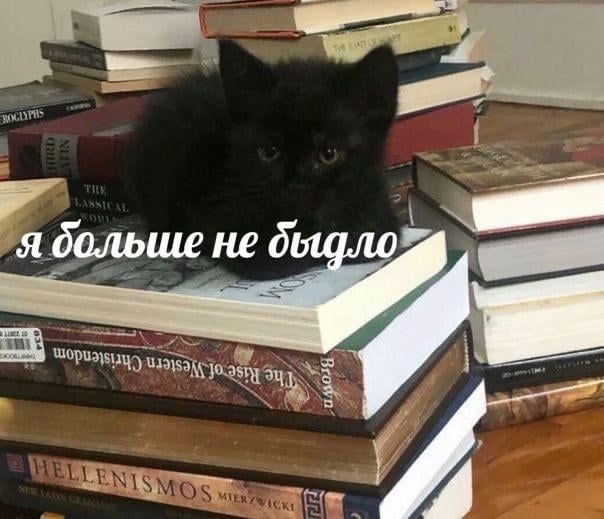 Неделя издательского дома ВШЭ проходит в галерее «Виктория»