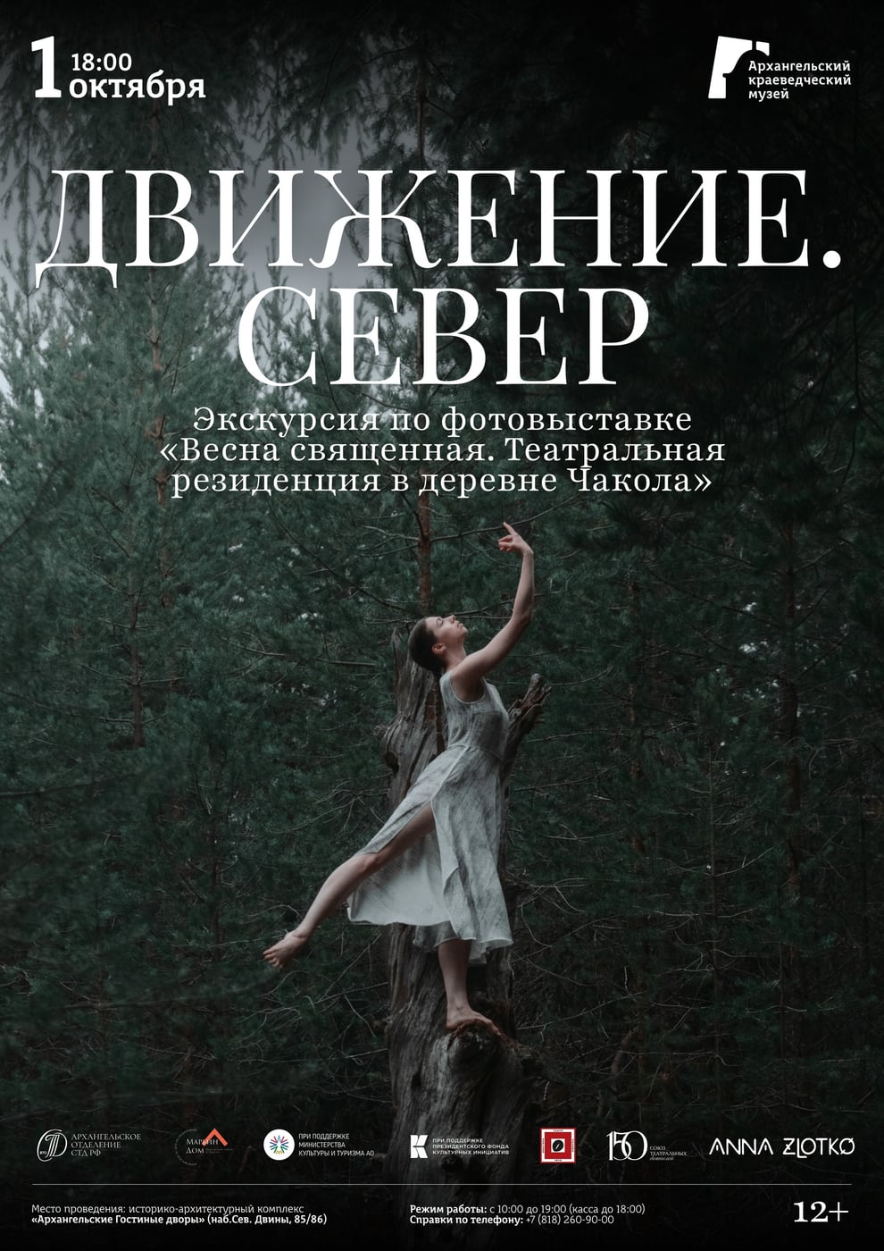 Выставка «Движение. Север»