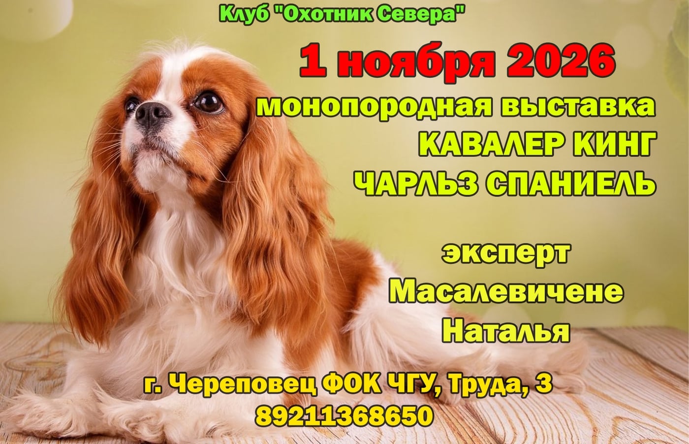 Приглашаем 1 ноября на монопородные выставки‼