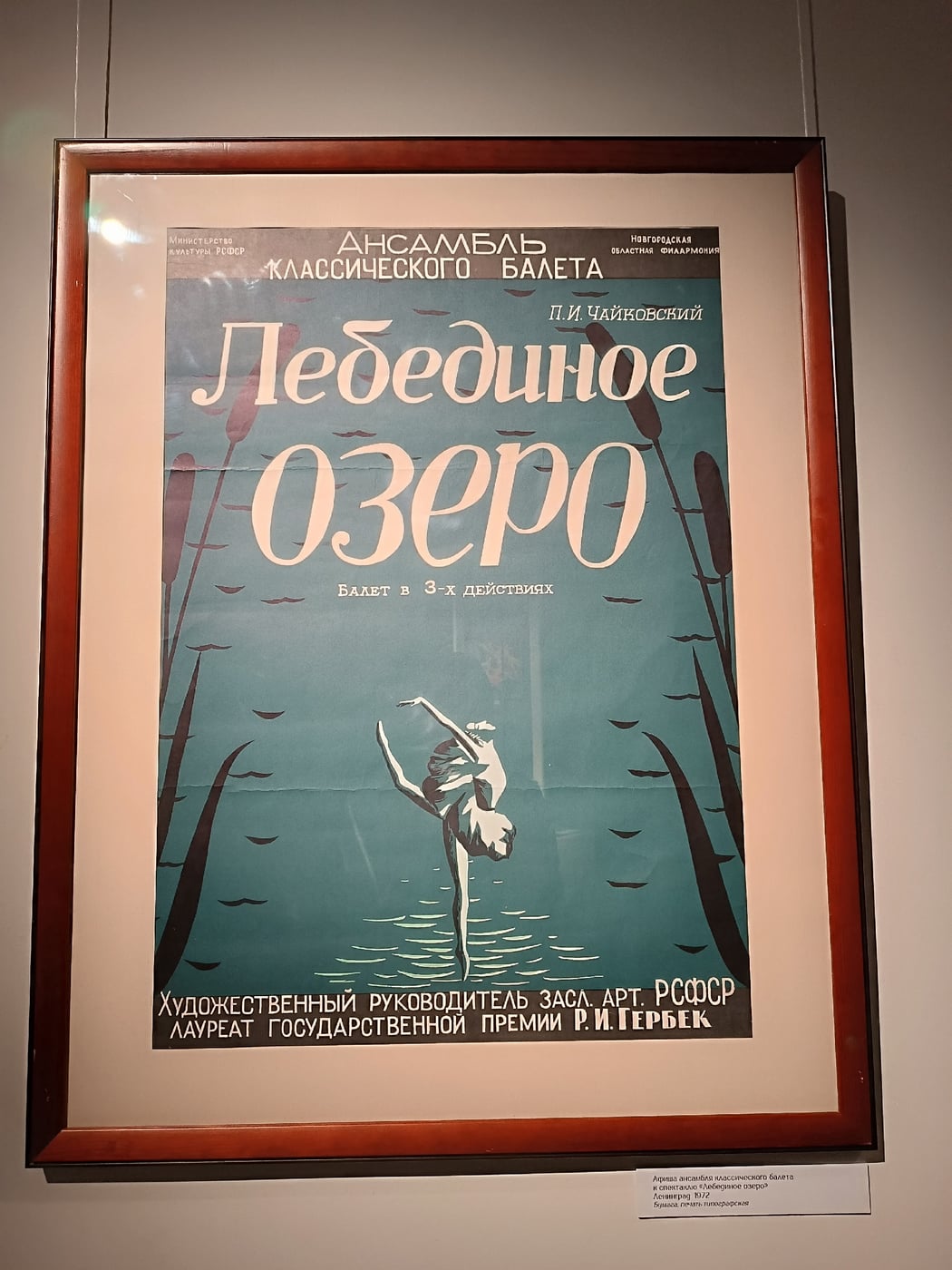 Выставка «Лебединое озеро»