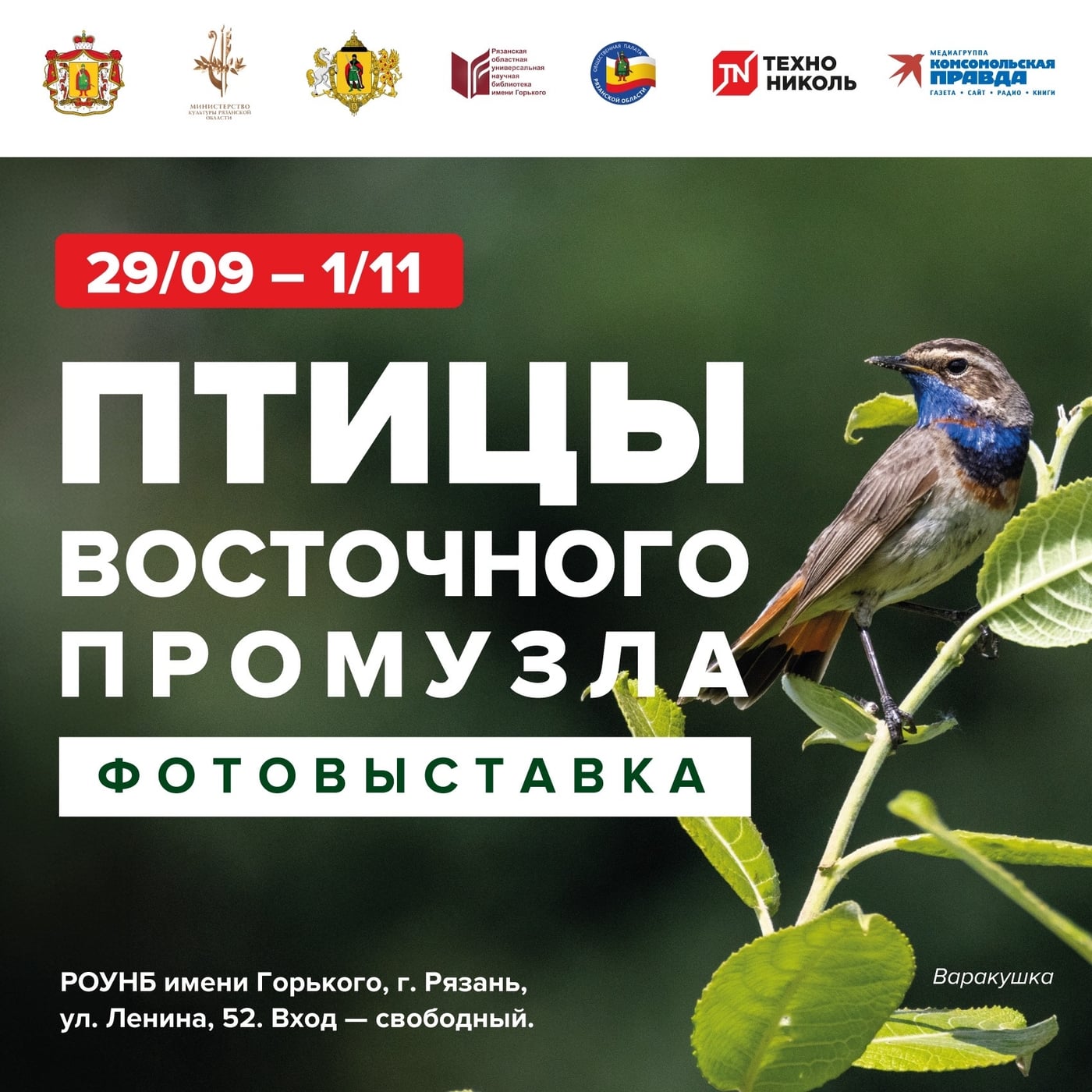 В Рязани начала работу первая фотовыставка «Птицы Восточного промузла»