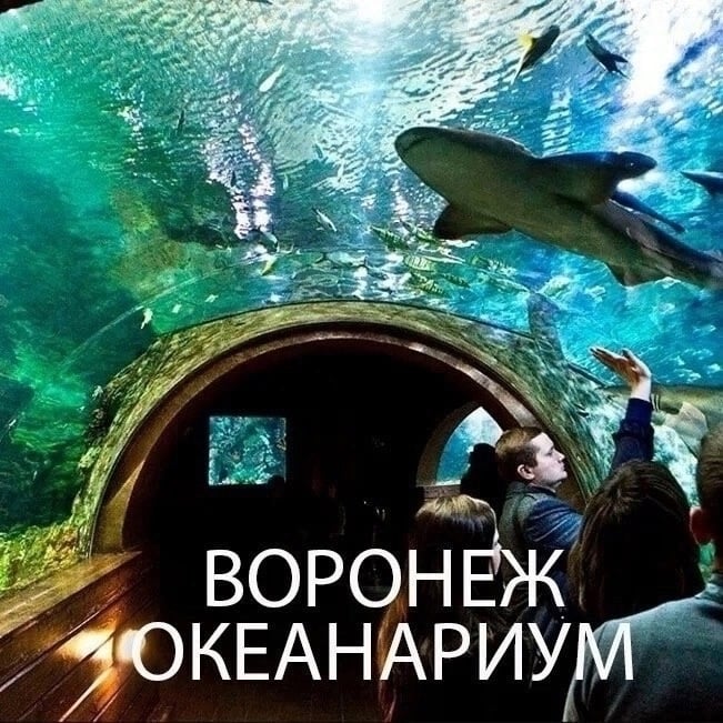 приглашаем вас в Воронежский океанариум + Сити-Град 26 декабря!