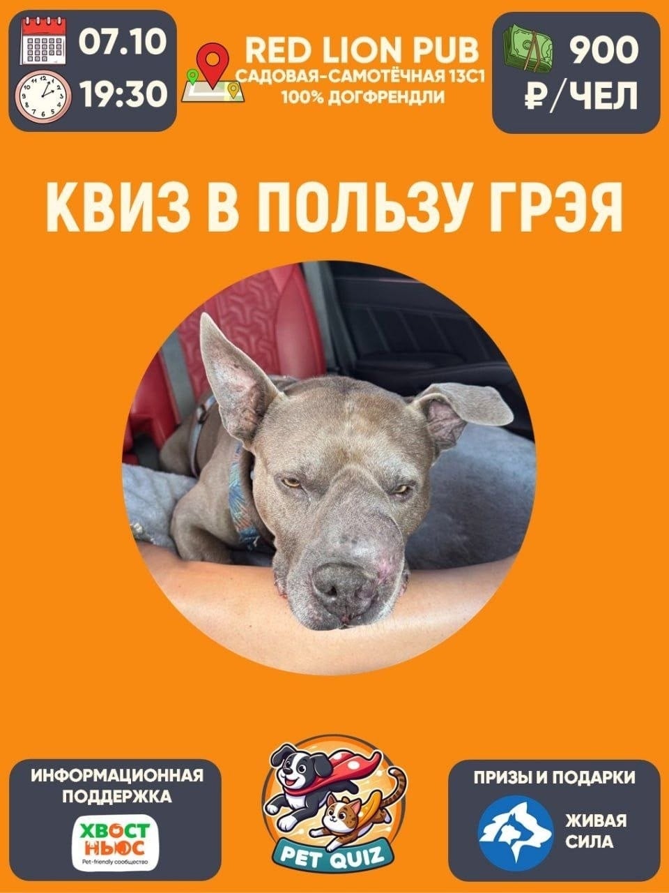 7 октября в Red Lion Pub состоится на 50% благотворительный квиз в…