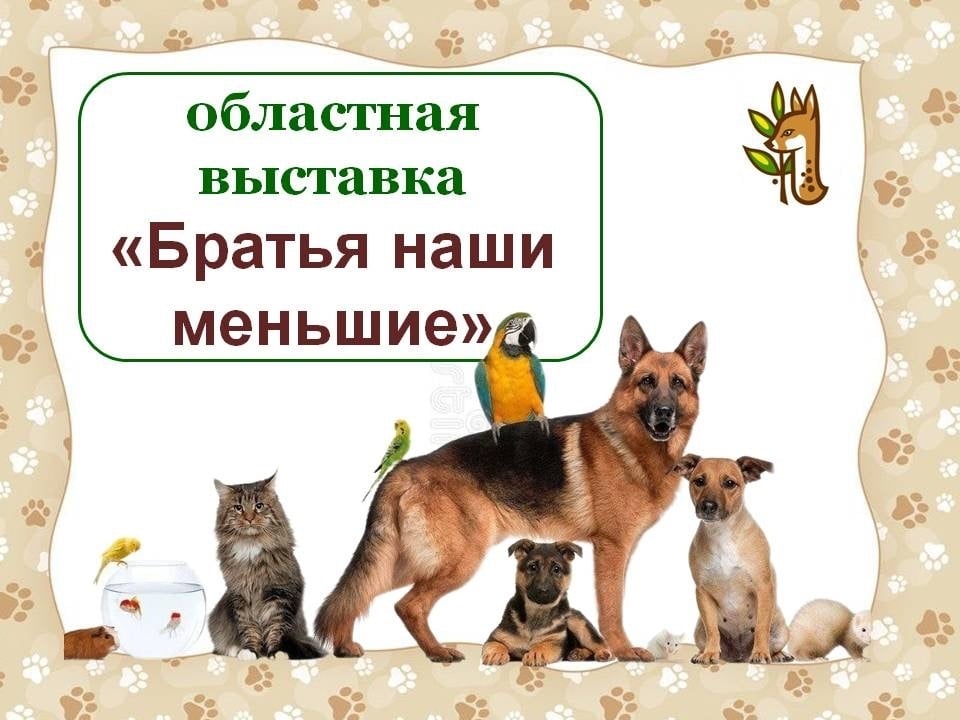 «Братья наши меньшие» —конкурс, который нельзя пропустить!