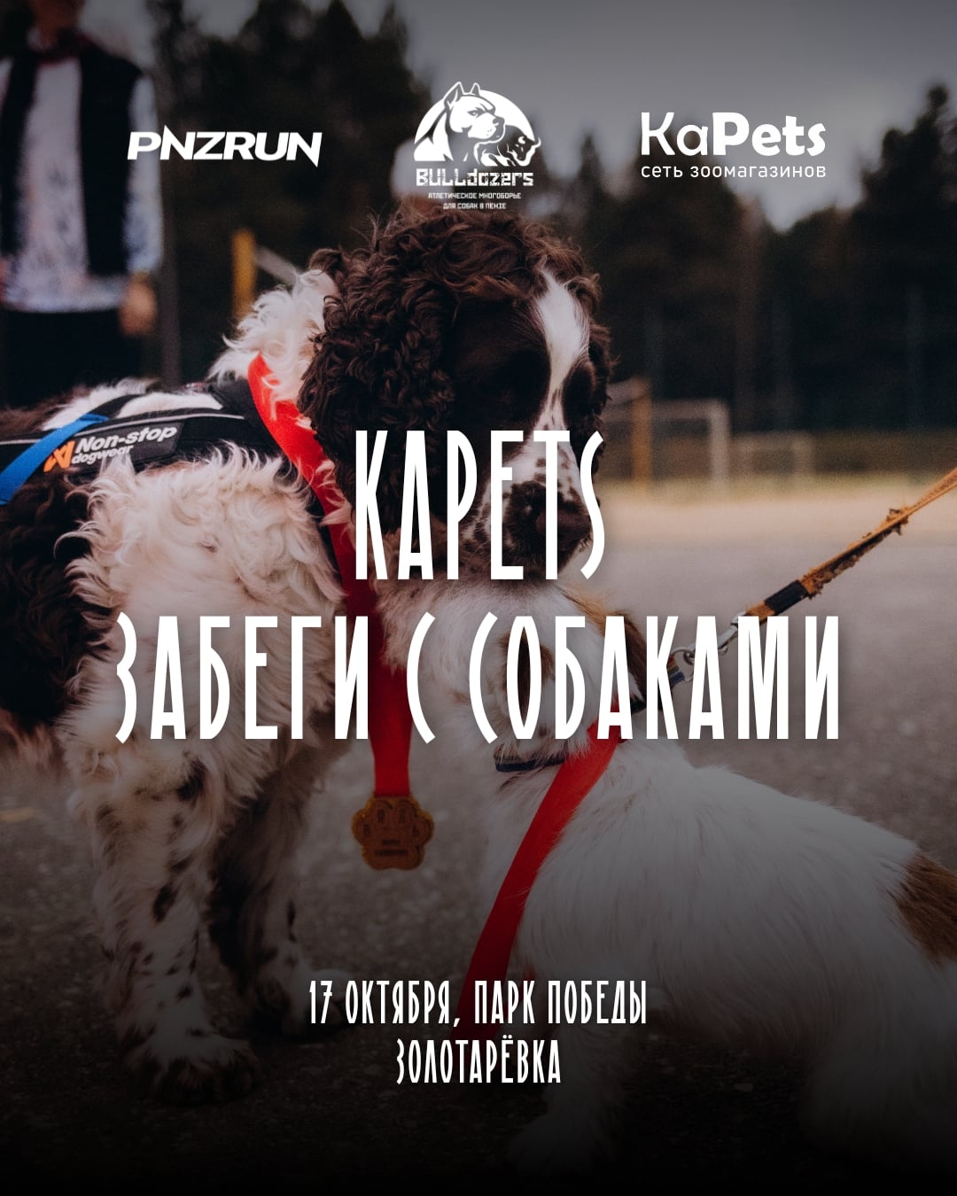 KaPets забеги с собаками 17 октября!
