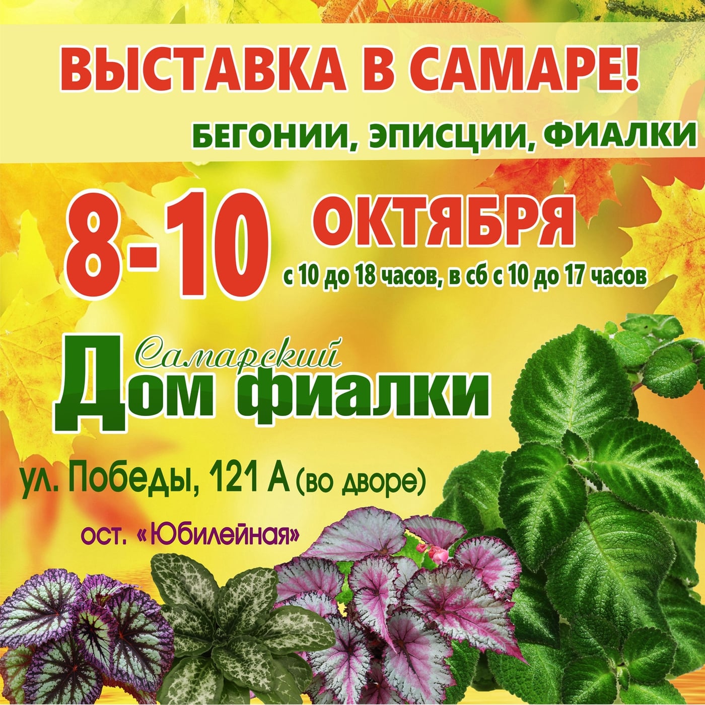 Список деток к выставке 8-10 октября в Самарском Доме Фиалки