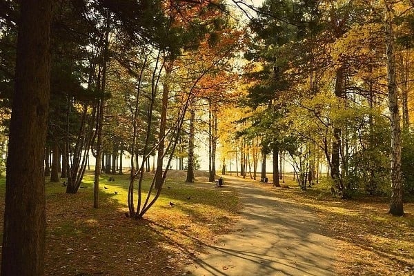 11 октября приглашаем на осеннюю прогулку по Томску