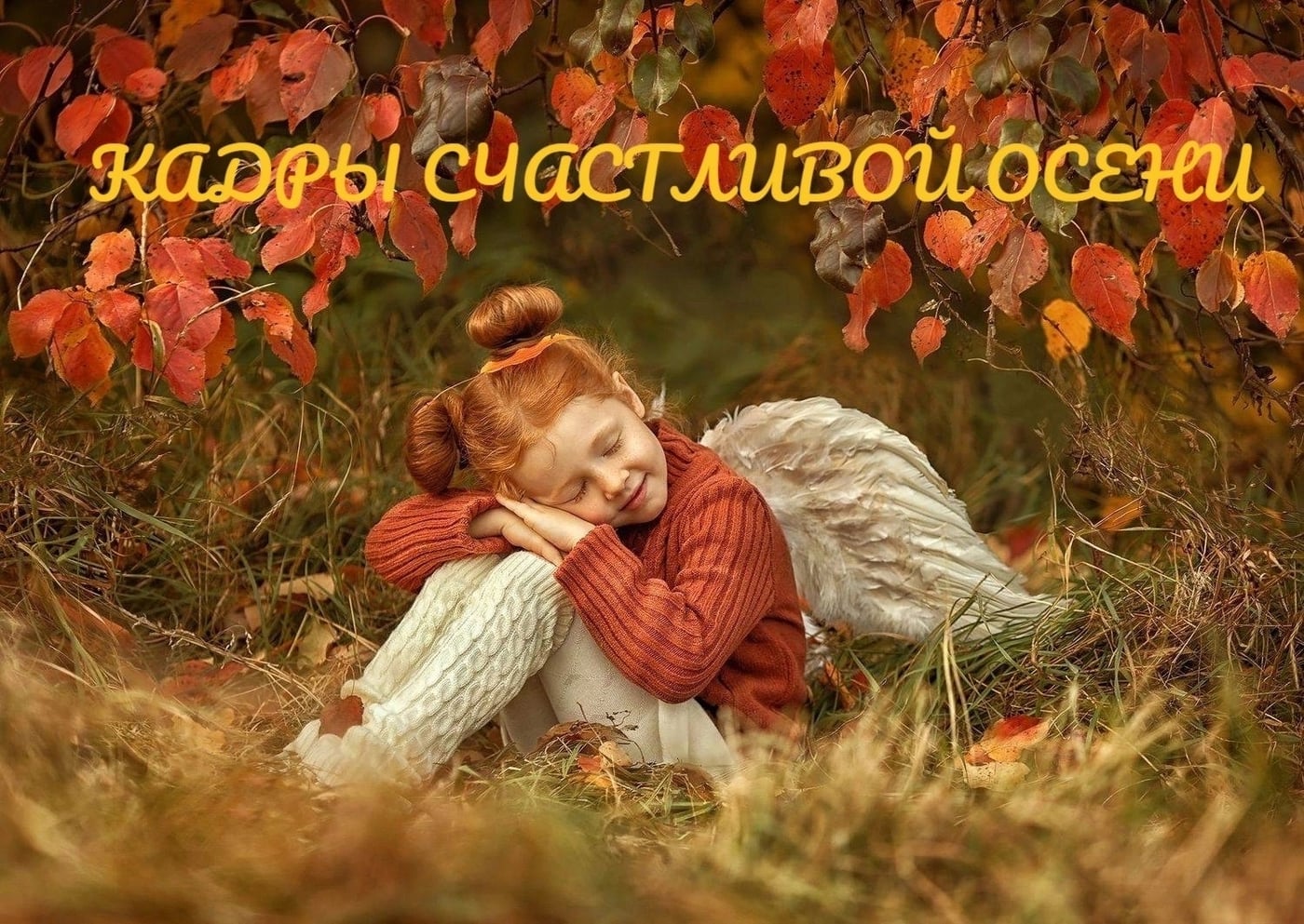 Фотовыставка «Кадры счастливой осени»!