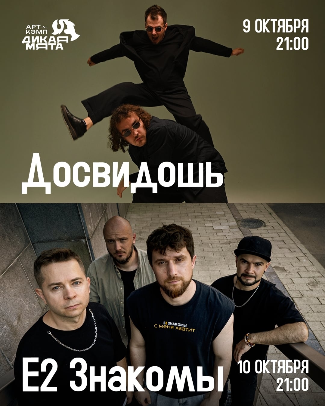 Концерты уикенда в арт-кэмпе «Дикая Мята»!