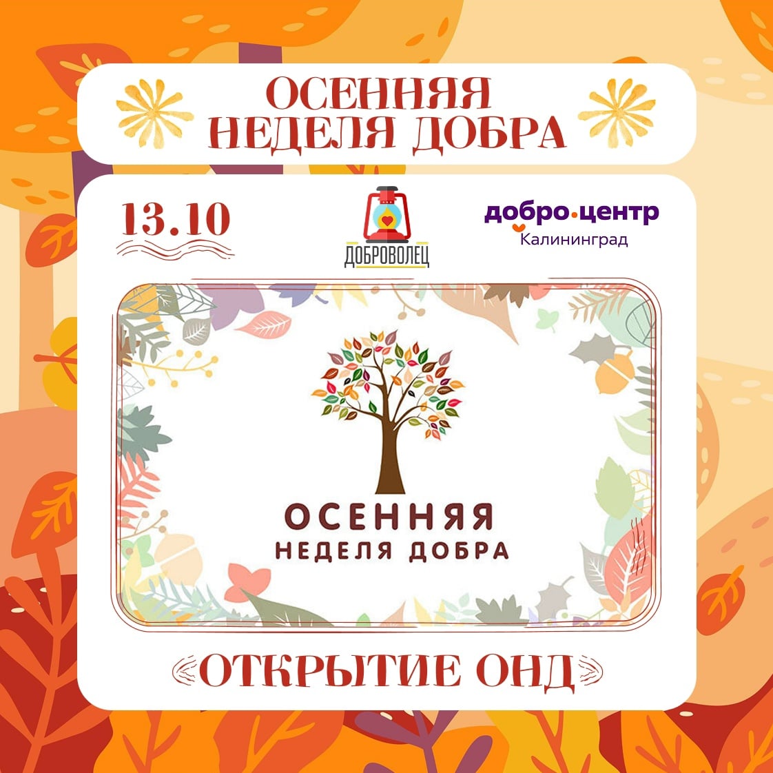 Приглашаем на открытие «Осенней недели добра»!