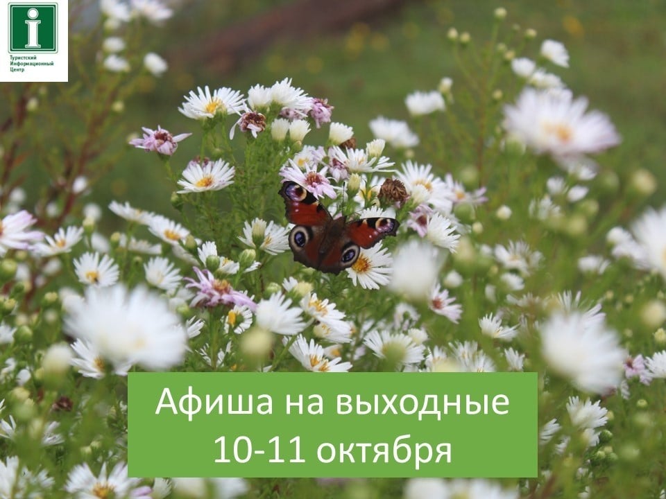 Выходные в Пензе: мероприятия на 10-11 октября