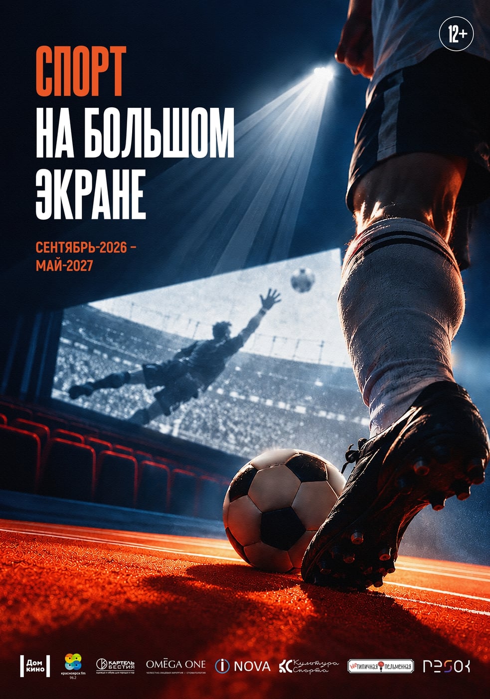 Запускаем проект «Спорт на большом экране»