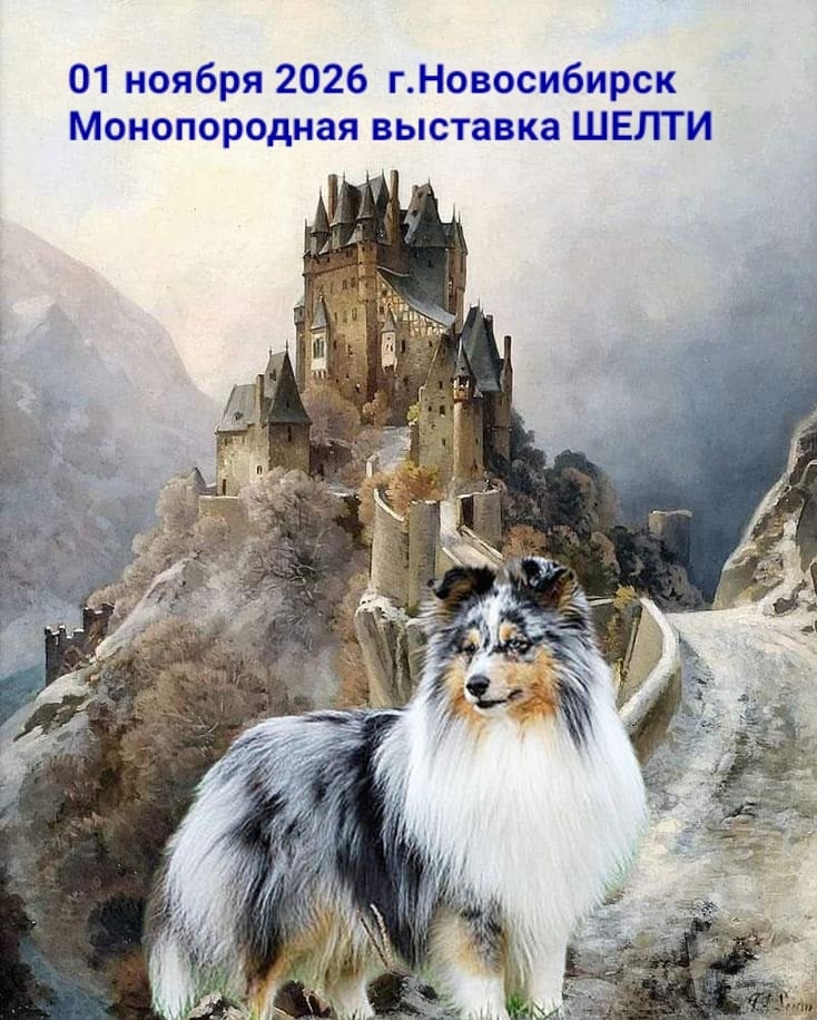 В г .Новосибирске 01 ноября 2026 года в рамках проведения 2 × САС…