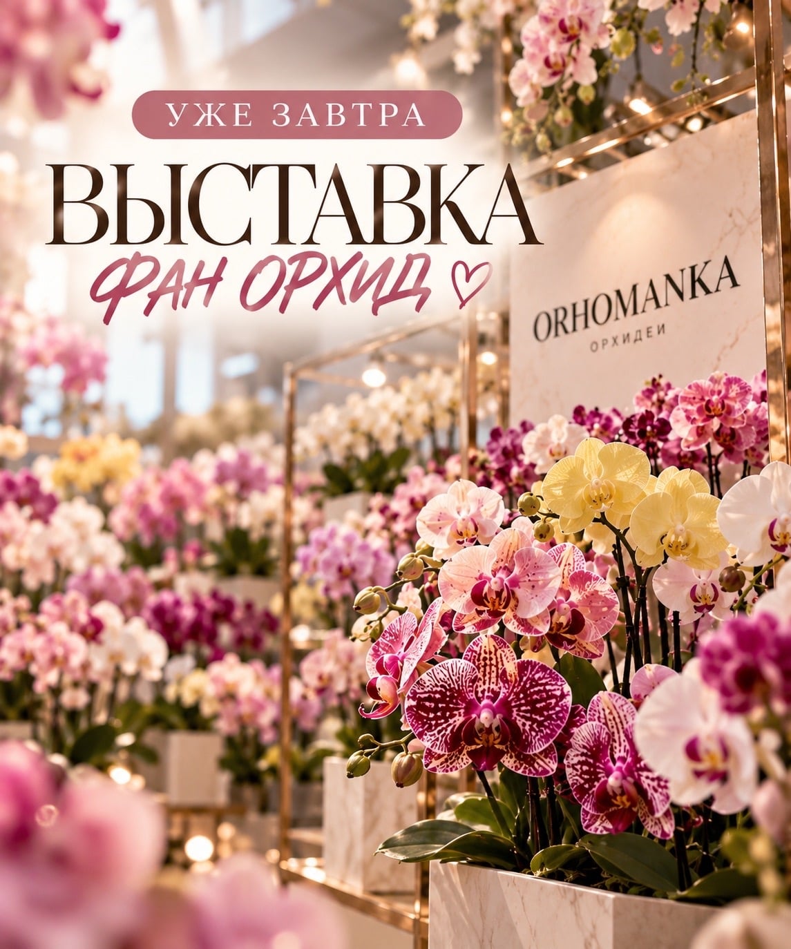 УЖЕ ЗАВТРА ВСТРЕЧАЕМСЯ НА ВЫСТАВКЕ «ФАН ОРХИД»!