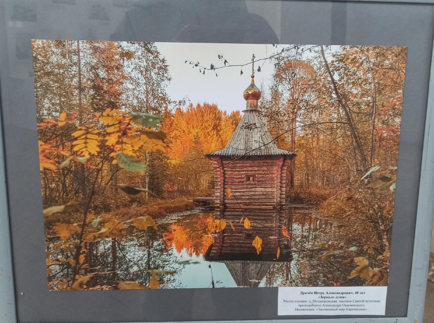 Выставка «Архитектурная сказка Каргополья»