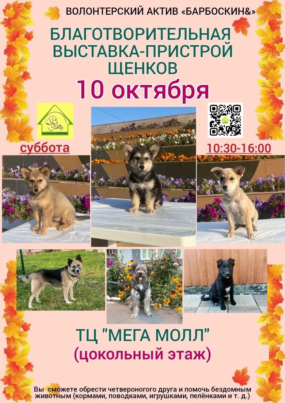 ЧЕБОКСАРЫ УЖЕ В СУББОТУ 10 ОКТЯБРЯ