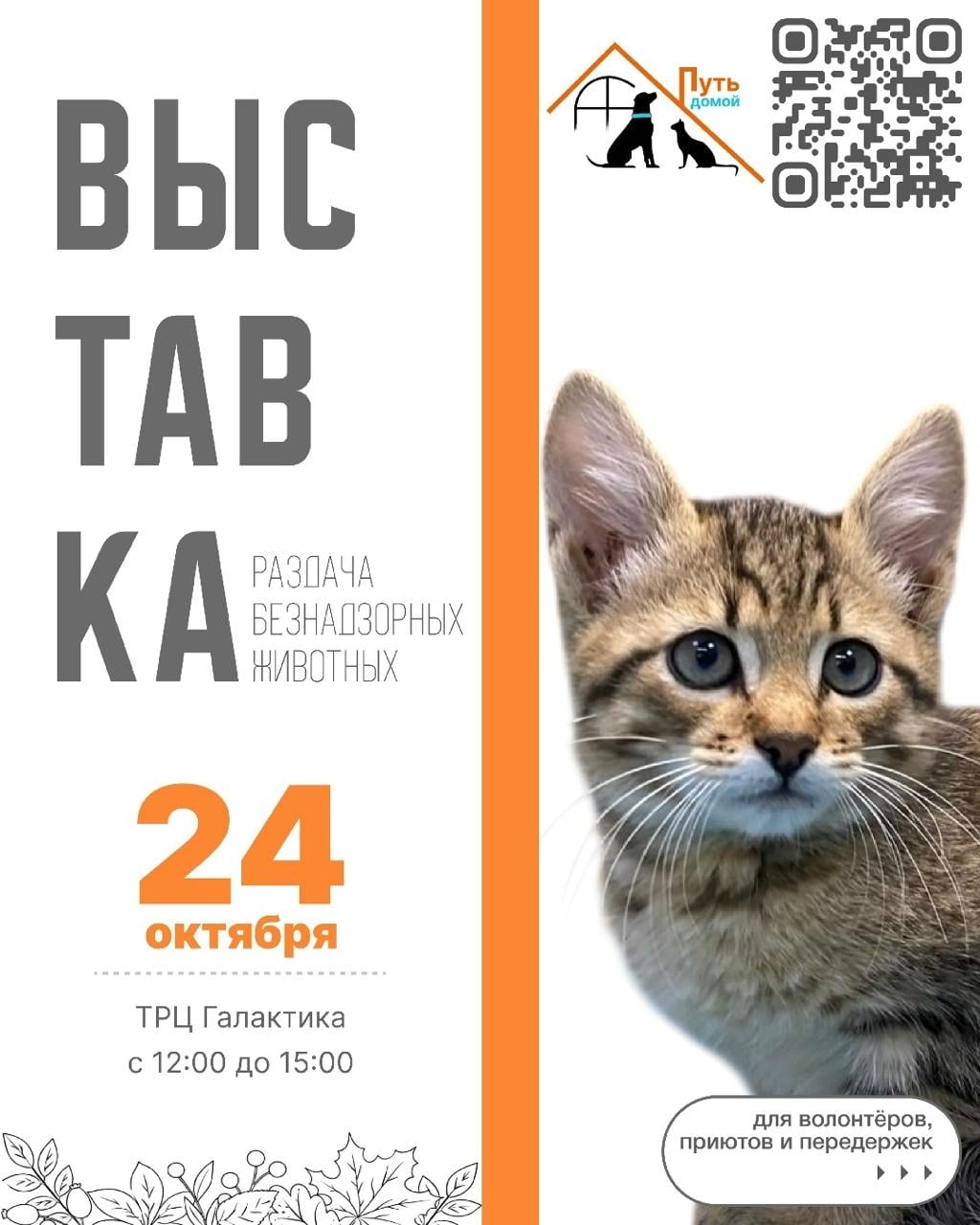 В «Галактике» пройдёт вторая осенняя выставка-раздача «Путь домой»