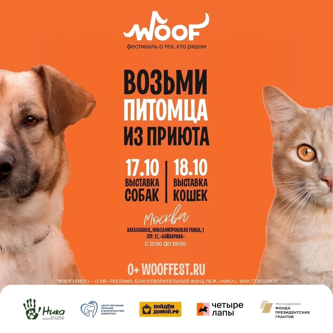 17 и 18 октября мы едем на WOOF!