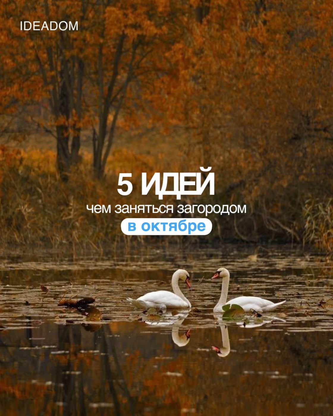18 октября зовём вас к нам: дома, шашлыки, живое общение и никаких…