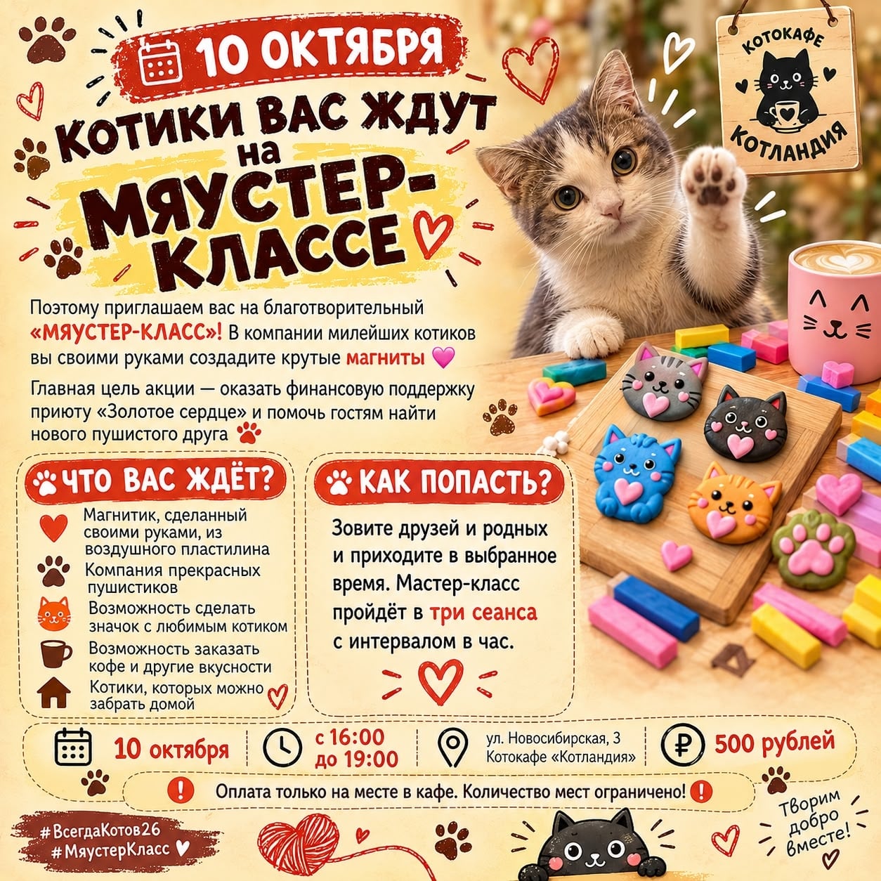 Котики вас ждут на «Мяустер-классе»