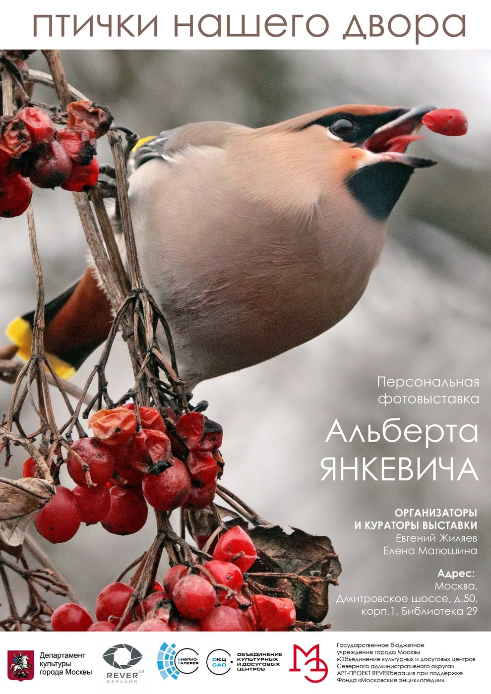 Выставка «Птички нашего двора»