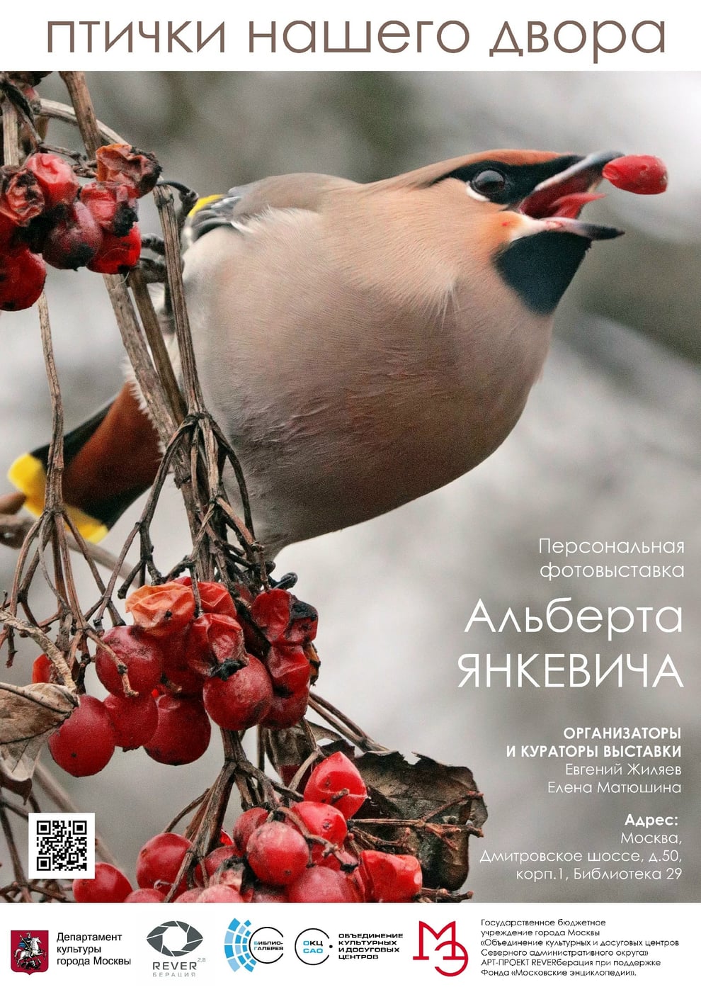 Выставка «Птички нашего двора»