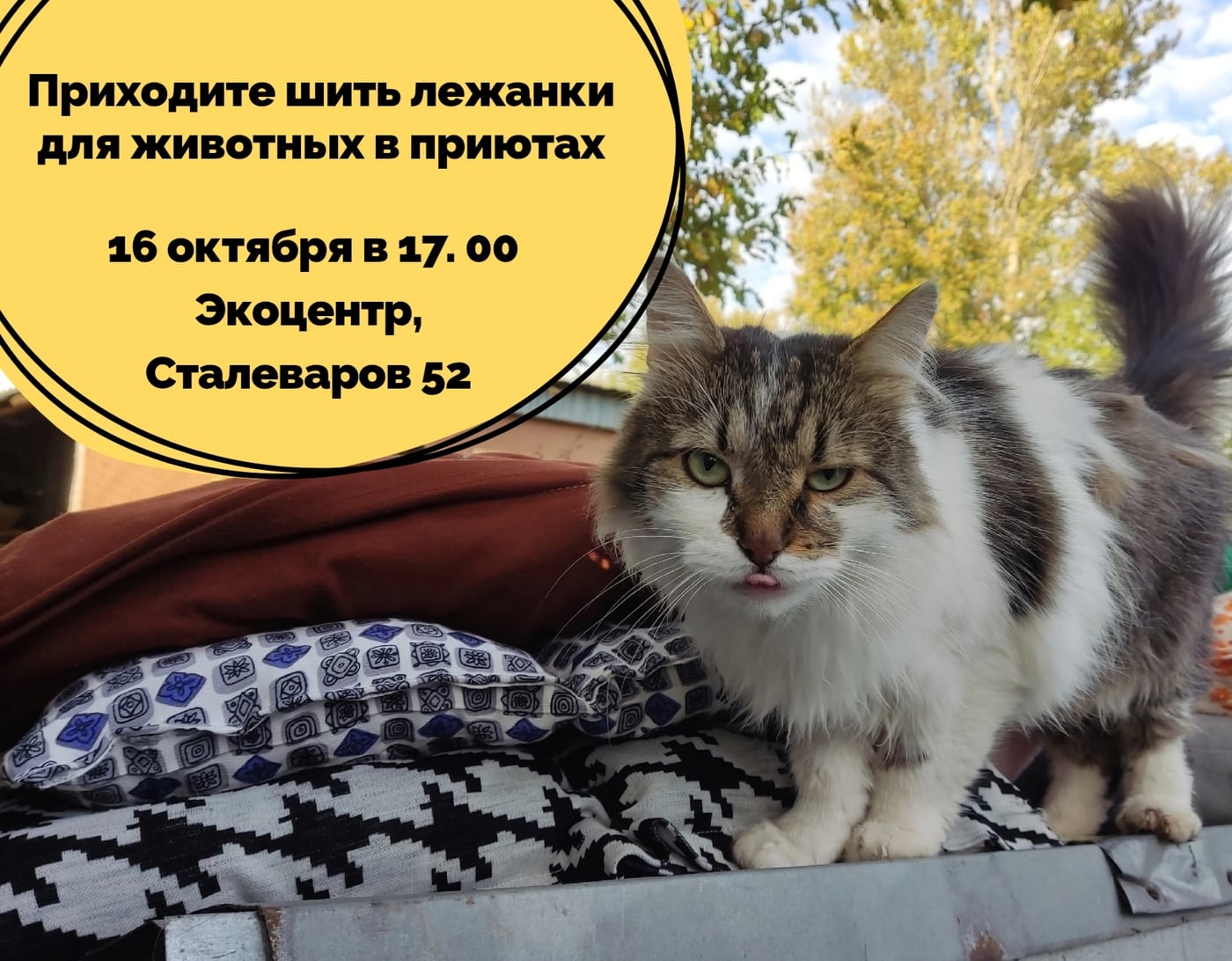В эту пятницу 16 октября состоится открытый мастер-класс по пошиву…