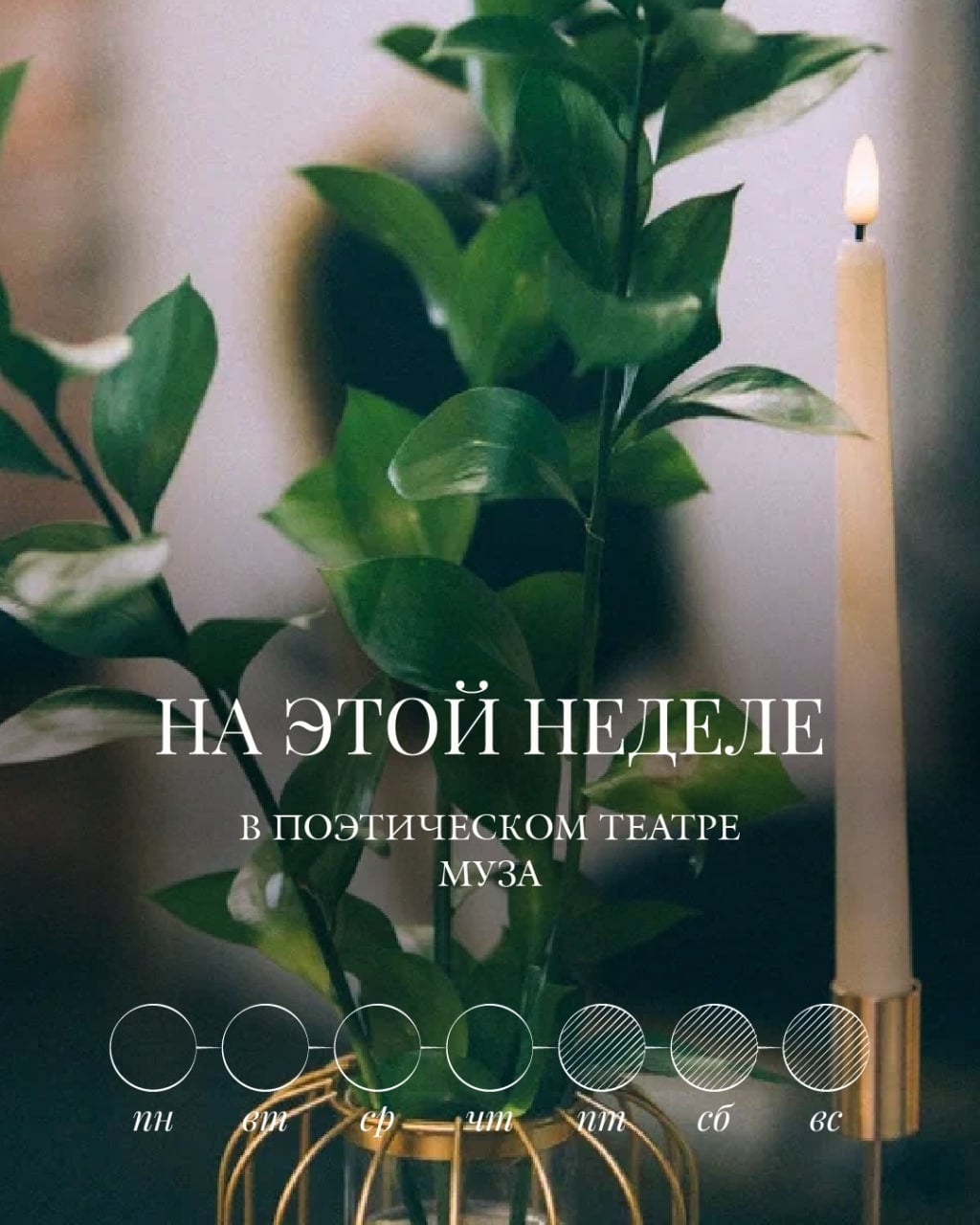 На этой неделе в Поэтическом театре «Муза»